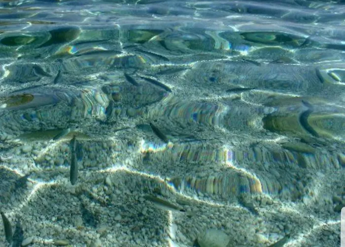 Casa Vacanze Sea-Life