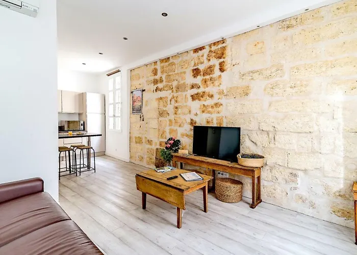 Chambre Et Appartements Entre Le Pont D Avignon Et Le Palais Des Papes - Ac Clim Parking