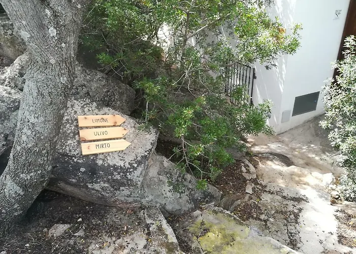Limone