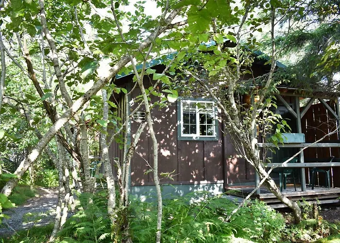Exit Glacier Lodge