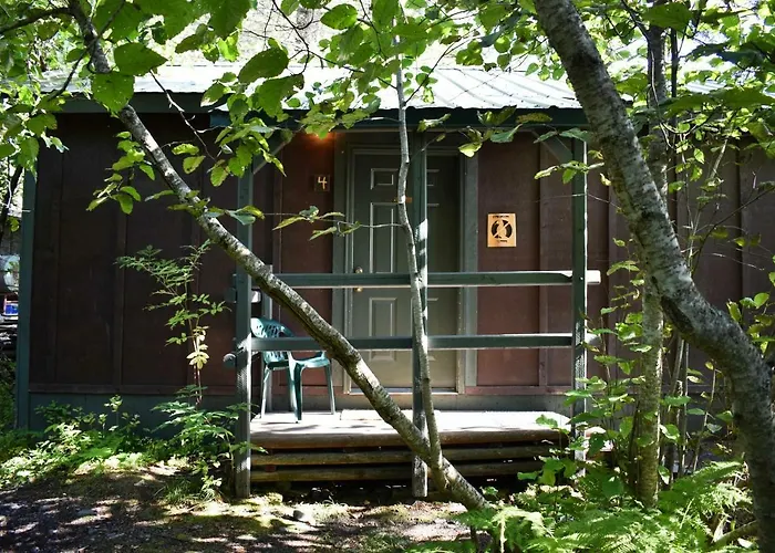 Exit Glacier Lodge