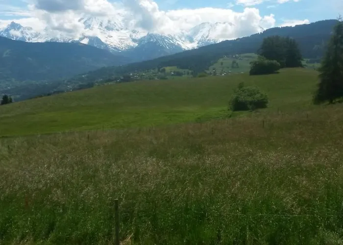 Rez De Chaussee Tres Calme Vue Mont-Blanc