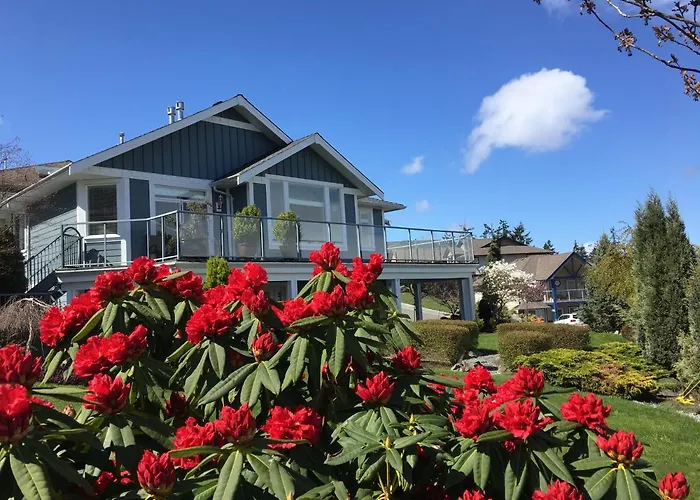 Neckpoint Treasure Bnb