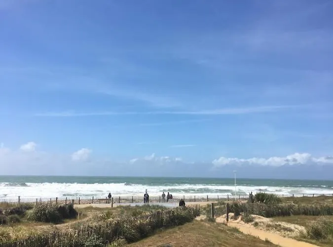 Bleu Marine