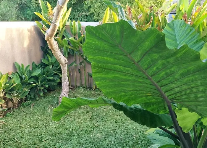 Maya Kori Villa