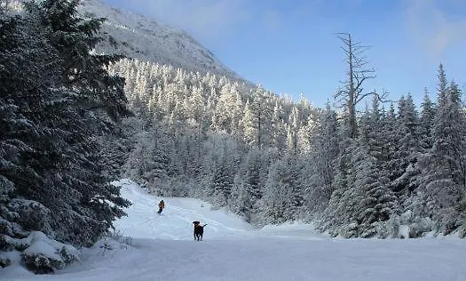Goldilocks Cabin