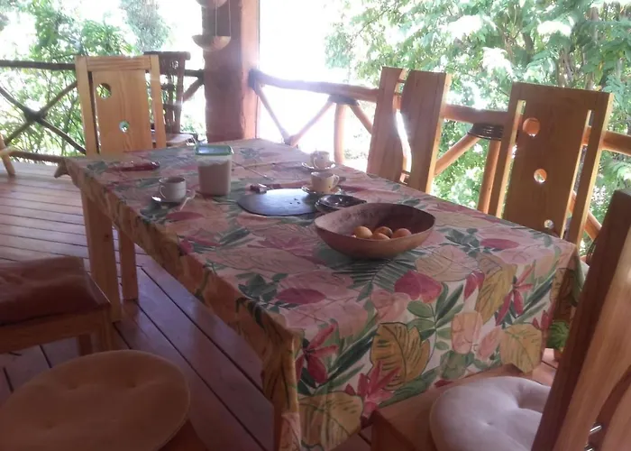 La Casa Del Arbol