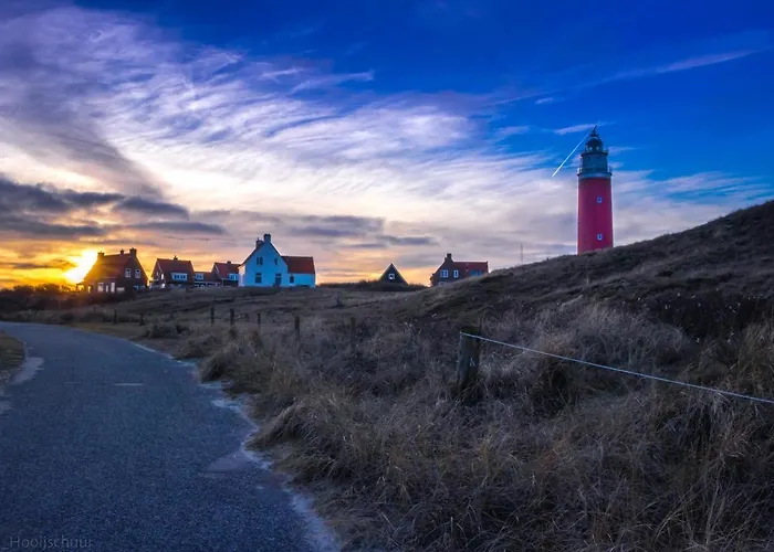 Bosruiter De Koog - Texel