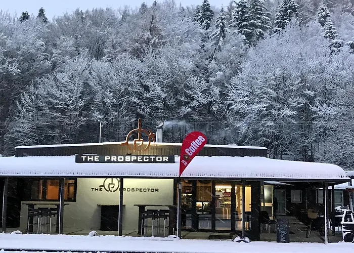 The Prospector Lawrence