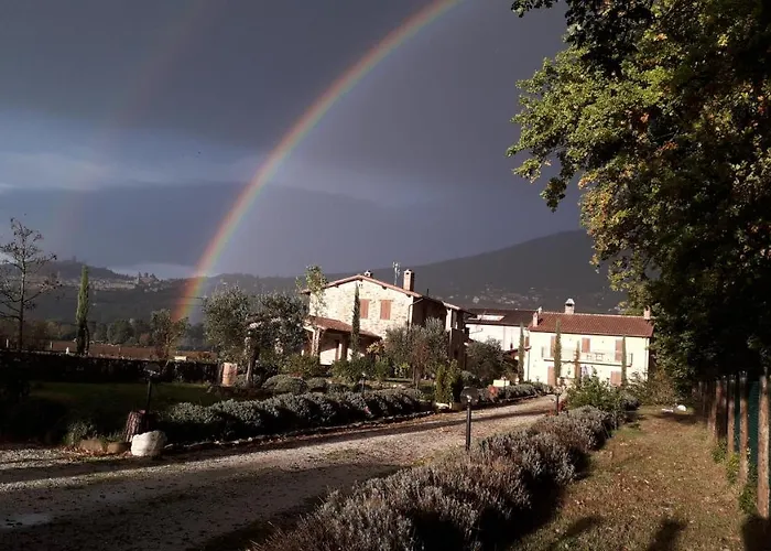 Sulla Strada Di San Francesco
