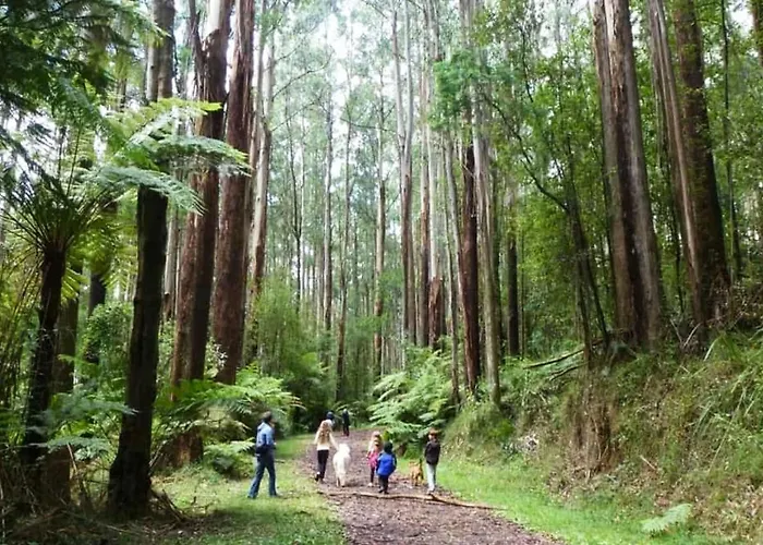 Ferny Hill Retreat, Emerald Victoria