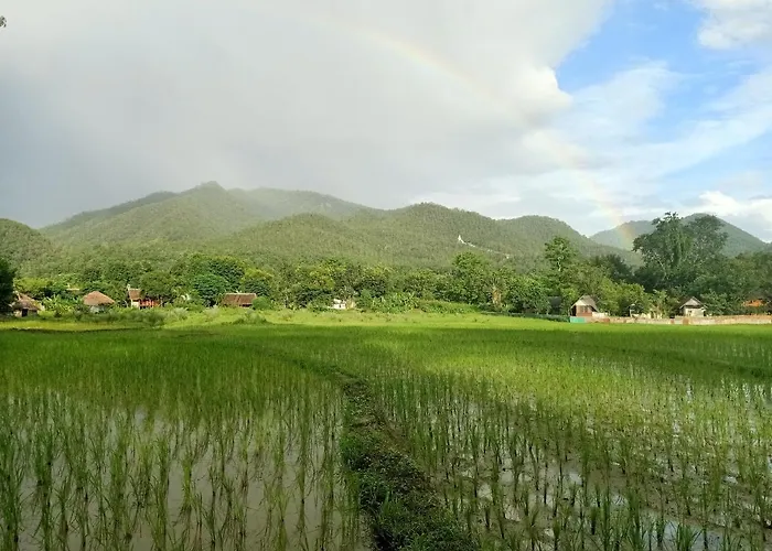 Yawning Fields