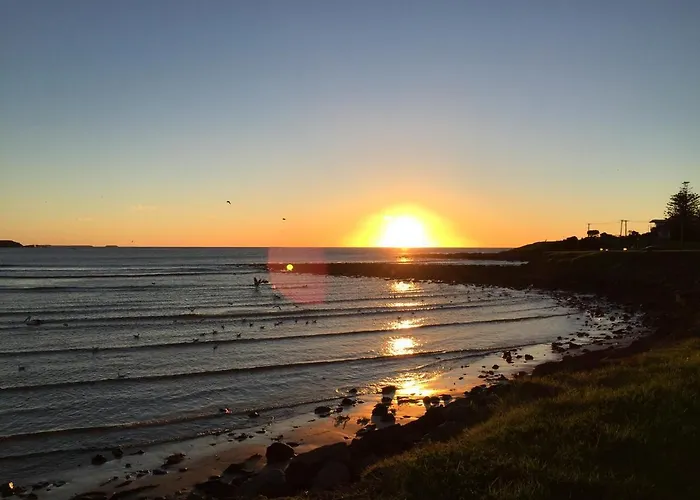 Lazy Dayz Shellharbour