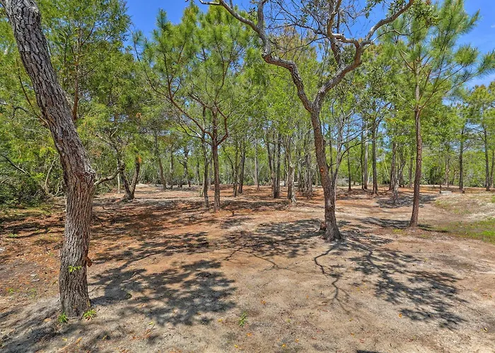 Outer Banks Island Cottage - 1 Mi To Frisco Beach!