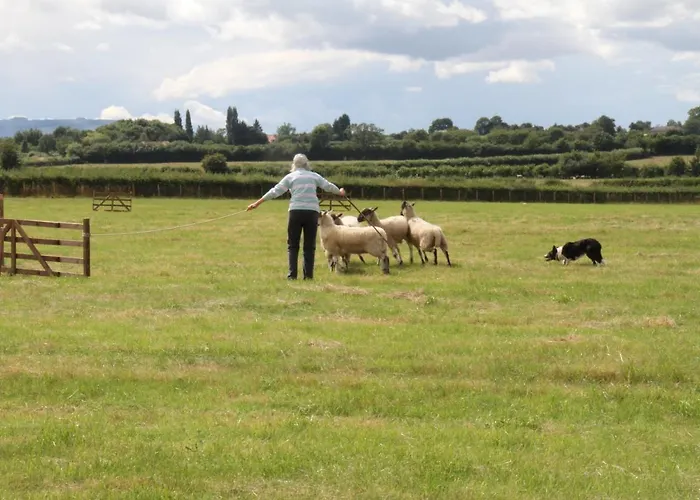 Church Farm