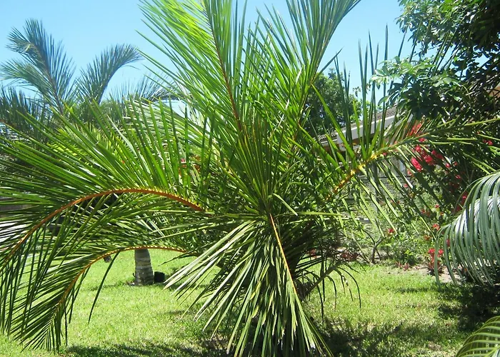 Hillton Gardens Guesthouse