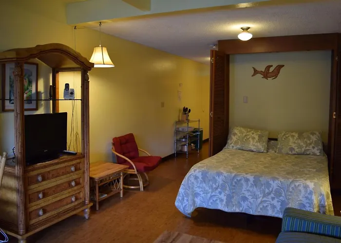 Cozy Ground Floor Studio Unit